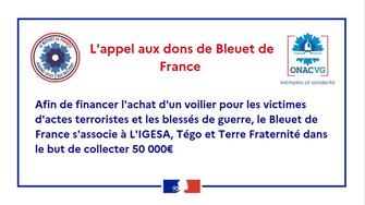 Le Bleuet de France : nouvelle campagne nationale d’appel aux dons