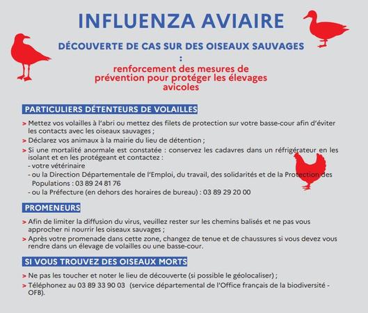 Influenza aviaire_Renforcement des mesures