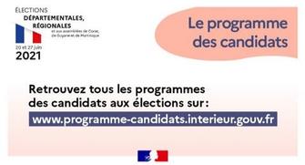 Elections départementales et régionales : consultez les programmes des candidats 