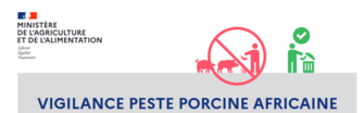 Peste porcine africaine : agir pour prévenir